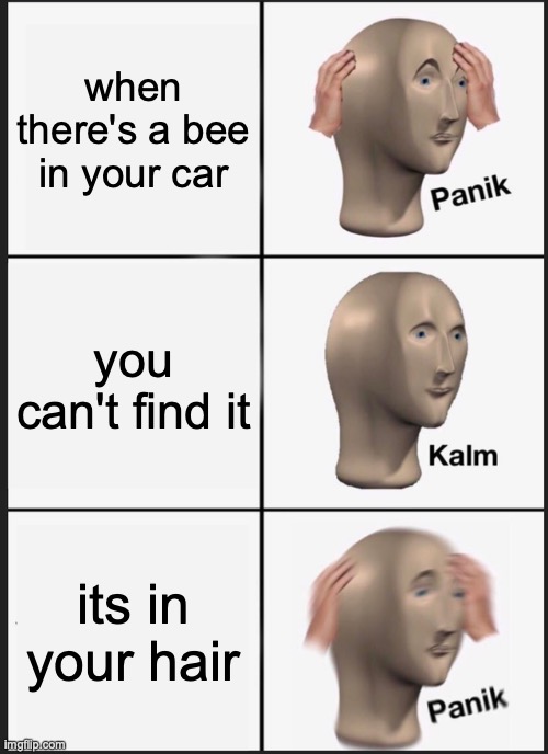 AHH | when there's a bee in your car; you can't find it; its in your hair | image tagged in memes,panik kalm panik | made w/ Imgflip meme maker