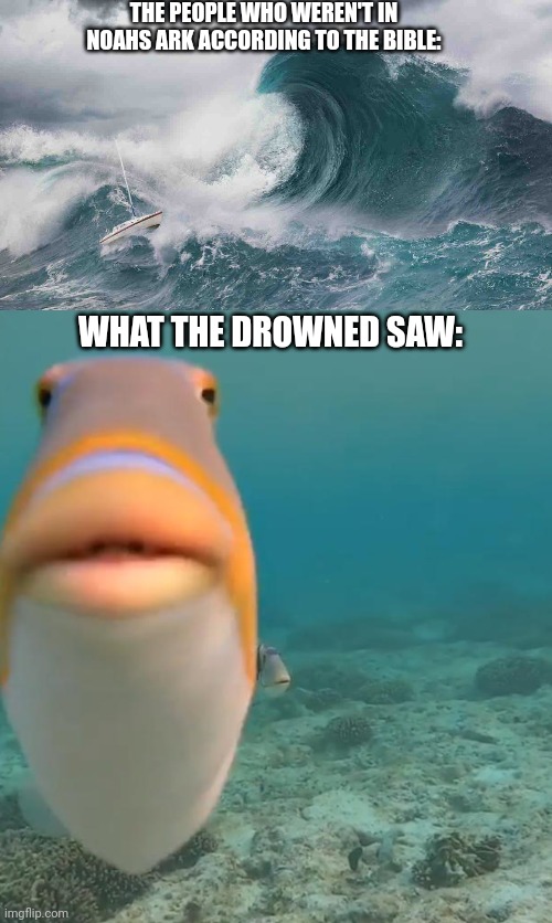 Sea meme | THE PEOPLE WHO WEREN'T IN NOAHS ARK ACCORDING TO THE BIBLE:; WHAT THE DROWNED SAW: | image tagged in tsunami,staring fish | made w/ Imgflip meme maker