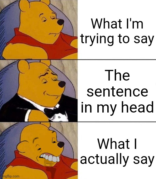 Asggdhjhgfhhtdvjhggbbyfccv | What I'm trying to say; The sentence in my head; What I actually say | image tagged in best better blurst | made w/ Imgflip meme maker