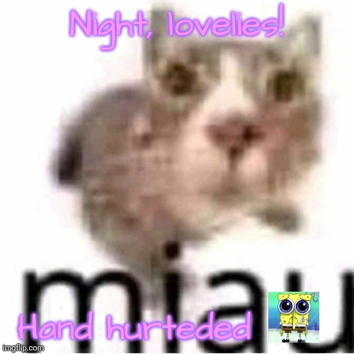 miau | Night, lovelies! Hand hurteded | image tagged in miau,lovelies | made w/ Imgflip meme maker