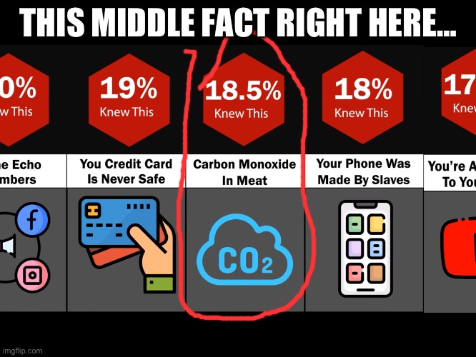 I remember that CO2 stands for carbon DIOXIDE, not carbon MONOXIDE. | THIS MIDDLE FACT RIGHT HERE… | image tagged in carbon,you had one job | made w/ Imgflip meme maker