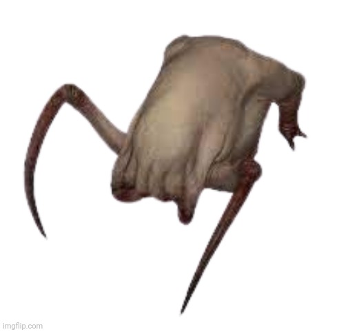 Headcrab | image tagged in headcrab | made w/ Imgflip meme maker