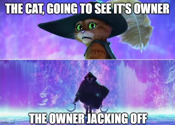 Puss and boots scared | THE CAT, GOING TO SEE IT'S OWNER THE OWNER JACKING OFF | image tagged in puss and boots scared | made w/ Imgflip meme maker