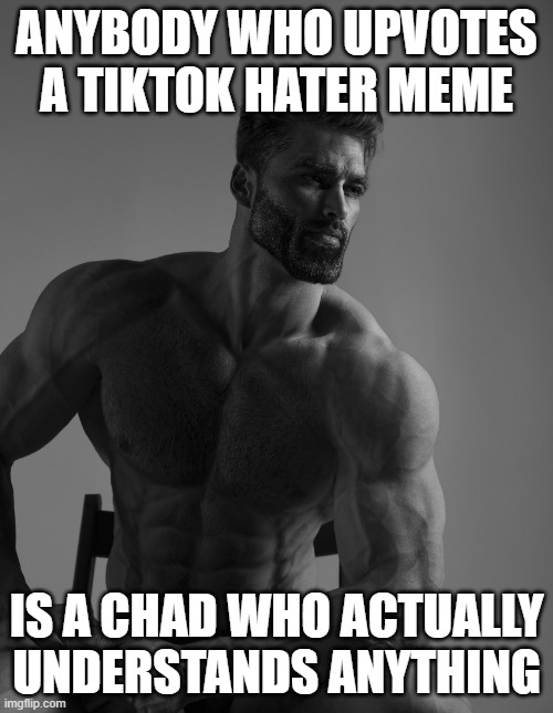 i posted this on funny | ANYBODY WHO UPVOTES A TIKTOK HATER MEME; IS A CHAD WHO ACTUALLY UNDERSTANDS ANYTHING | image tagged in giga chad | made w/ Imgflip meme maker