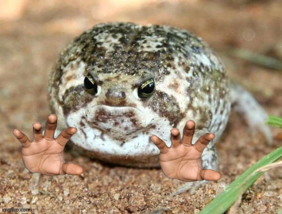 Froggo reaching | image tagged in froggo,dragonz | made w/ Imgflip meme maker
