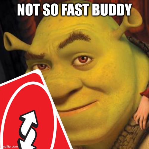 Shrek Sexy Face | NOT SO FAST BUDDY | image tagged in shrek sexy face | made w/ Imgflip meme maker