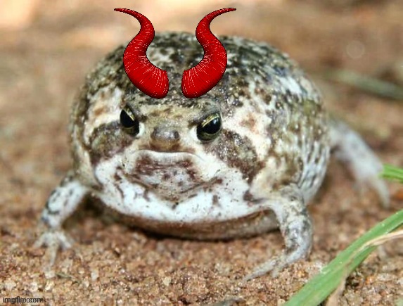 Froggo with some cheap plastic devil horns from Spirit Halloween | image tagged in froggo,dragonz,halloween,hehehe | made w/ Imgflip meme maker