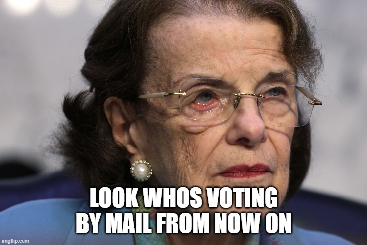 mail in voting | LOOK WHOS VOTING
BY MAIL FROM NOW ON | image tagged in voting,voters,voter,i see dead people,voter fraud,fraud | made w/ Imgflip meme maker