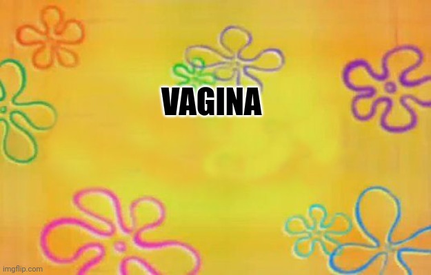 Spongebob time card background  | VAGINA | image tagged in spongebob time card background | made w/ Imgflip meme maker