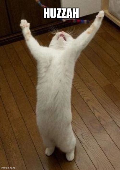 Hooray Cat | HUZZAH | image tagged in hooray cat | made w/ Imgflip meme maker