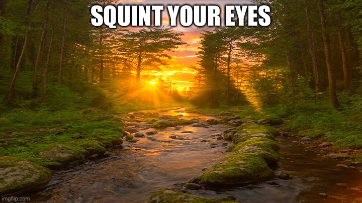 Can you squint your eyes to see what is it only 98% don't know | SQUINT YOUR EYES | image tagged in squint,memes,funny,who is it | made w/ Imgflip meme maker