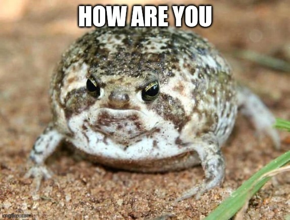 Froggo | HOW ARE YOU | image tagged in froggo | made w/ Imgflip meme maker