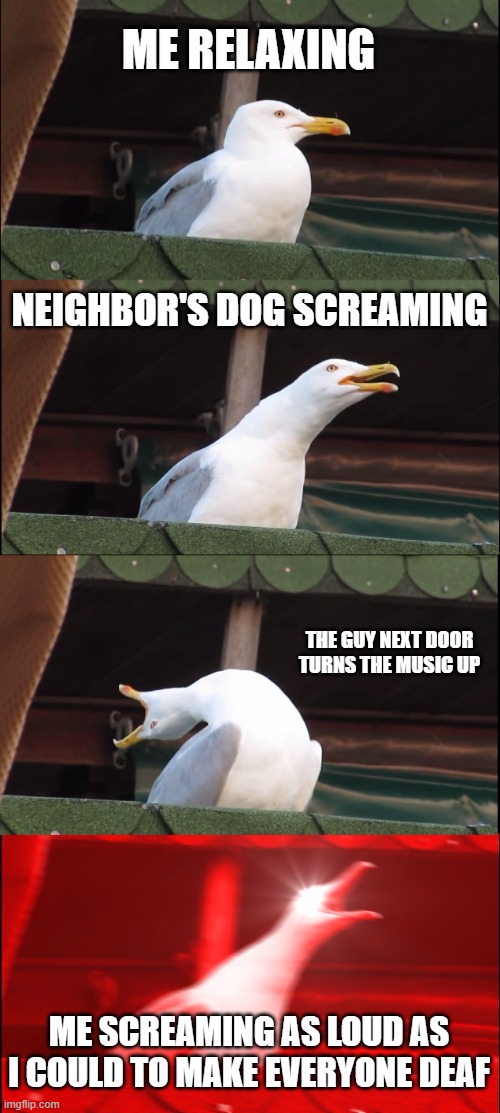 my friend rn | ME RELAXING; NEIGHBOR'S DOG SCREAMING; THE GUY NEXT DOOR TURNS THE MUSIC UP; ME SCREAMING AS LOUD AS I COULD TO MAKE EVERYONE DEAF | image tagged in memes,inhaling seagull | made w/ Imgflip meme maker