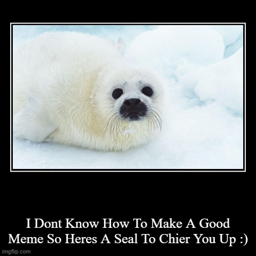 I Dont Know How To Make A Good Meme So Heres A Seal To Chier You Up :) | image tagged in funny,demotivationals | made w/ Imgflip demotivational maker