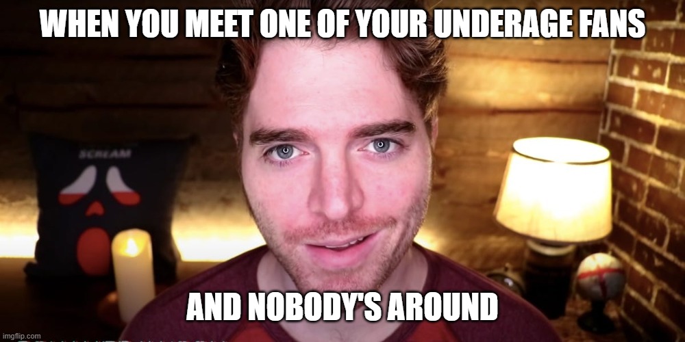 Groomtubers be Like | WHEN YOU MEET ONE OF YOUR UNDERAGE FANS; AND NOBODY'S AROUND | image tagged in shane dawson smirk | made w/ Imgflip meme maker