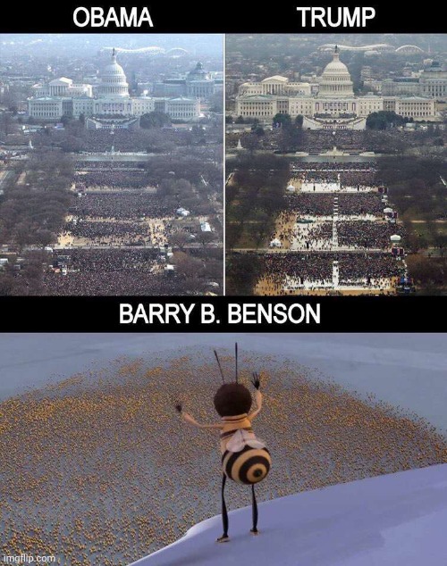 Barry B Benson for president | image tagged in memes,unfunny | made w/ Imgflip meme maker