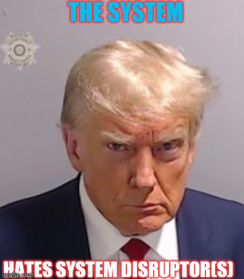 Donald Trump Mugshot | THE SYSTEM HATES SYSTEM DISRUPTOR(S) | image tagged in donald trump mugshot | made w/ Imgflip meme maker