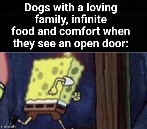 Maybe they don't love us after all | Dogs with a loving family, infinite food and comfort when they see an open door: | image tagged in spongebob running,memes,unfunny | made w/ Imgflip meme maker