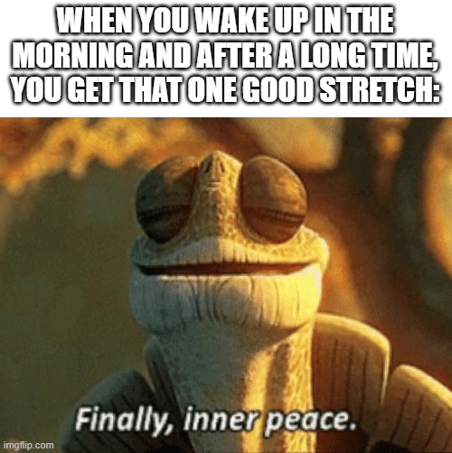 That Feeling | WHEN YOU WAKE UP IN THE MORNING AND AFTER A LONG TIME, YOU GET THAT ONE GOOD STRETCH: | image tagged in finally inner peace,satisfaction | made w/ Imgflip meme maker
