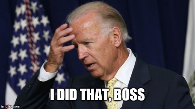Joe Biden worries | I DID THAT, BOSS | image tagged in joe biden worries | made w/ Imgflip meme maker