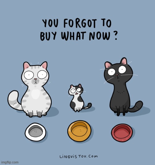 A Cat's Way Of Thinking | image tagged in memes,comics/cartoons,cats,forgot,buy,what | made w/ Imgflip meme maker