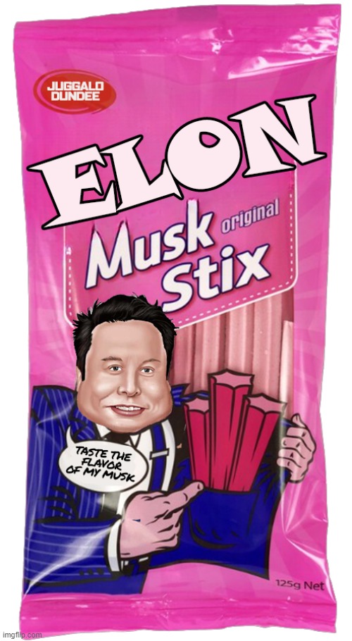 Elon Musk Stick | image tagged in elon musk,twitter,elon musk buying twitter | made w/ Imgflip meme maker
