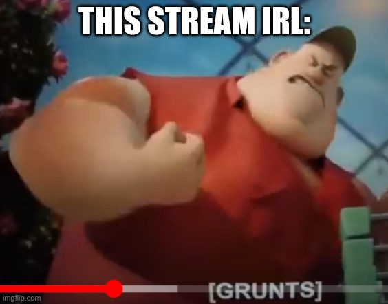 This stream irl | image tagged in this stream irl | made w/ Imgflip meme maker