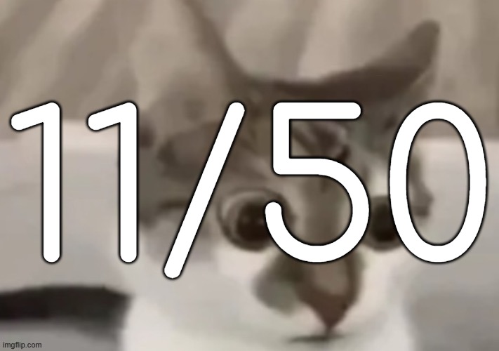 bombastic side eye cat | 11/50 | image tagged in bombastic side eye cat | made w/ Imgflip meme maker