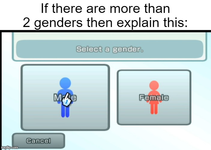 Even videogames got it right | If there are more than 2 genders then explain this: | image tagged in memes,2 genders,mii,wii | made w/ Imgflip meme maker