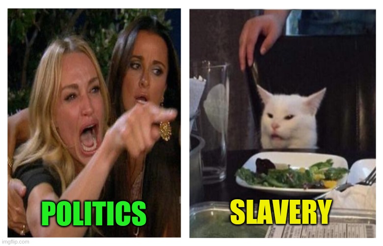 Smudge Revise | SLAVERY; POLITICS | image tagged in smudge revise | made w/ Imgflip meme maker