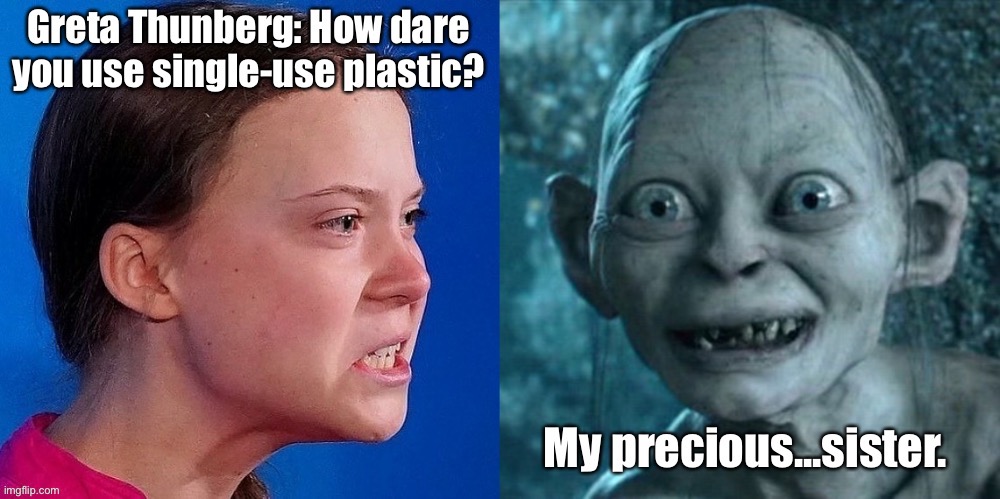 Greta Thunberg | image tagged in greta thunberg,how dare you,single use,plastics,gollum,precious sister | made w/ Imgflip meme maker
