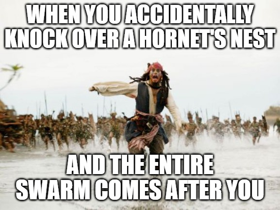 Jack Sparrow Being Chased | WHEN YOU ACCIDENTALLY KNOCK OVER A HORNET'S NEST; AND THE ENTIRE SWARM COMES AFTER YOU | image tagged in memes,jack sparrow being chased | made w/ Imgflip meme maker