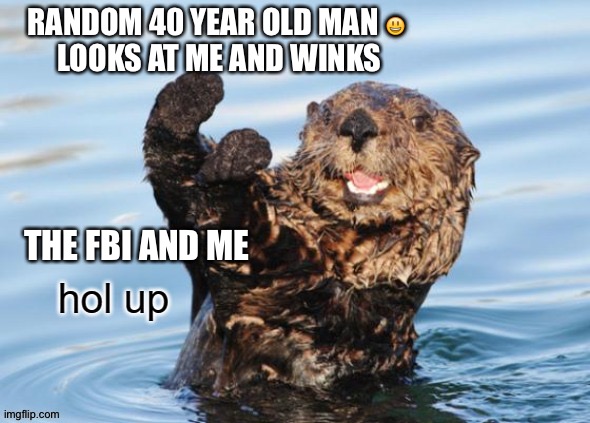 Hol up? Wait a minute? | RANDOM 40 YEAR OLD MAN 😃 
LOOKS AT ME AND WINKS; THE FBI AND ME | image tagged in hol up | made w/ Imgflip meme maker