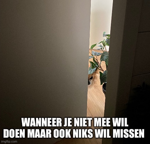 WANNEER JE NIET MEE WIL DOEN MAAR OOK NIKS WIL MISSEN | made w/ Imgflip meme maker