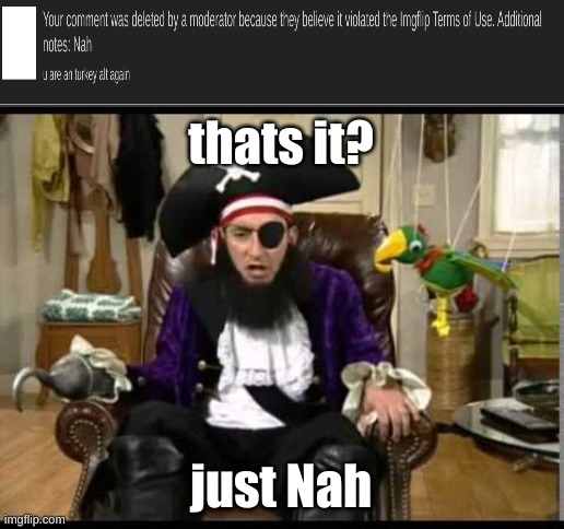 Patchy the pirate that's it? | thats it? just Nah | image tagged in patchy the pirate that's it | made w/ Imgflip meme maker