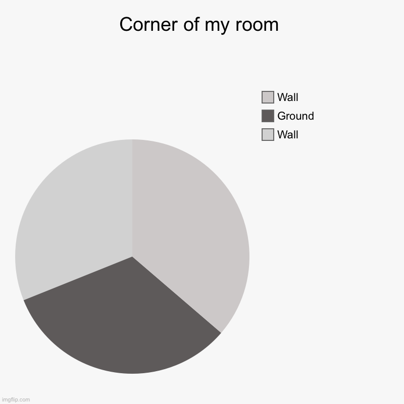 Just the corner of my room . | Corner of my room | Wall, Ground, Wall | image tagged in charts,pie charts | made w/ Imgflip chart maker
