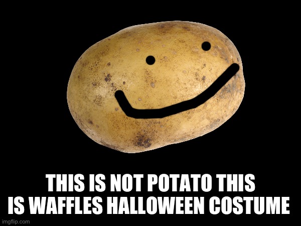 THIS IS NOT POTATO THIS IS WAFFLES HALLOWEEN COSTUME | made w/ Imgflip meme maker