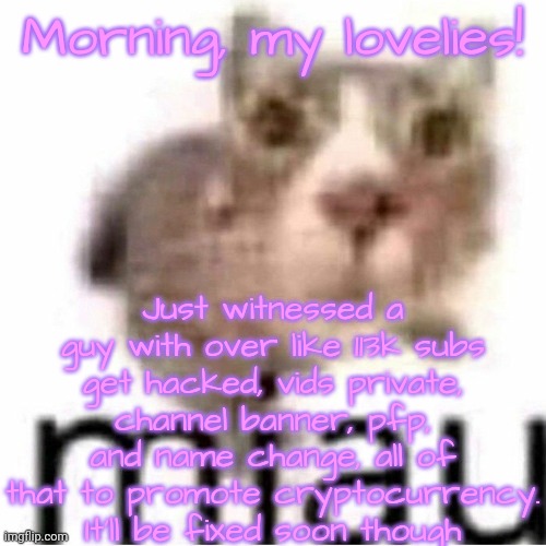 Rip Doggie's channel for like a week | Morning, my lovelies! Just witnessed a guy with over like 113k subs get hacked, vids private, channel banner, pfp, and name change, all of that to promote cryptocurrency. It'll be fixed soon though | image tagged in miau,lovelies | made w/ Imgflip meme maker