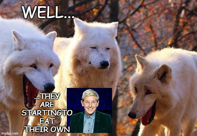 The Three Wolves | WELL... ...THEY ARE STARTINGTO EAT THEIR OWN | image tagged in the three wolves | made w/ Imgflip meme maker