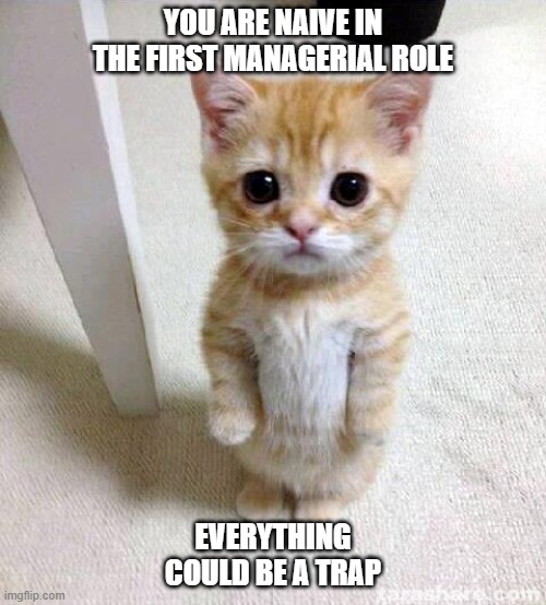 Naive First-line Managers | YOU ARE NAIVE IN THE FIRST MANAGERIAL ROLE; EVERYTHING COULD BE A TRAP | image tagged in memes,cute cat | made w/ Imgflip meme maker