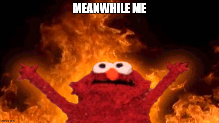 elmo fire | MEANWHILE ME | image tagged in elmo fire | made w/ Imgflip meme maker