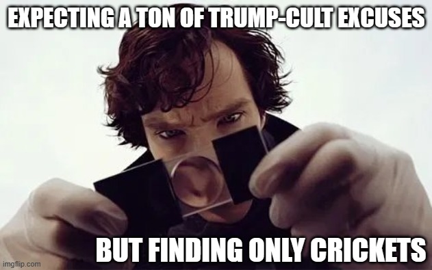Sherlock Magnifying Glass | EXPECTING A TON OF TRUMP-CULT EXCUSES BUT FINDING ONLY CRICKETS | image tagged in sherlock magnifying glass | made w/ Imgflip meme maker