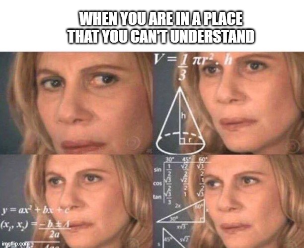 Math lady/Confused lady | WHEN YOU ARE IN A PLACE THAT YOU CAN'T UNDERSTAND | image tagged in math lady/confused lady,memes,funny,funny memes | made w/ Imgflip meme maker