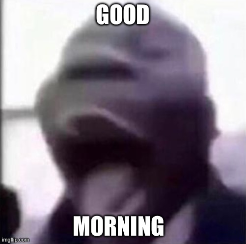 for the love of god another guy screaming | GOOD; MORNING | image tagged in for the love of god another guy screaming | made w/ Imgflip meme maker