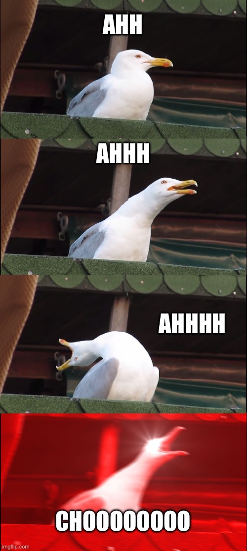 Inhaling Seagull | AHH; AHHH; AHHHH; CHOOOOOOOO | image tagged in memes,inhaling seagull | made w/ Imgflip meme maker