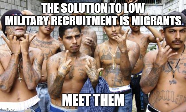Well at least they will not be woke | THE SOLUTION TO LOW MILITARY RECRUITMENT IS MIGRANTS; MEET THEM | image tagged in ms13,illegals,what could go wrong,enlist,not woke,democrat war on america | made w/ Imgflip meme maker