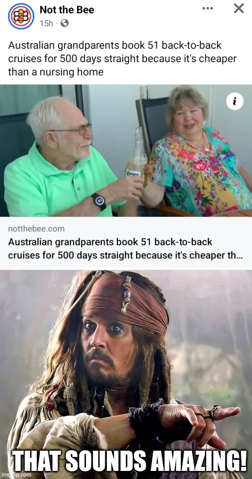 THAT HAS TO BE THE BEST WAY TO RETIRE | THAT SOUNDS AMAZING! | image tagged in cruise ship,cruise,jack sparrow | made w/ Imgflip meme maker