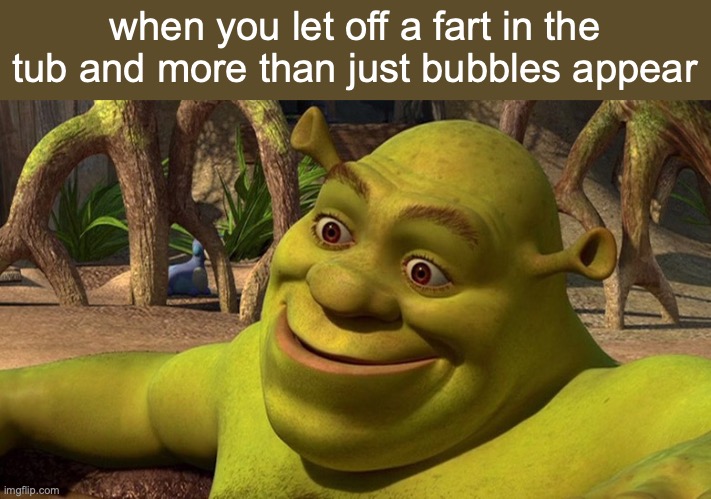 Shrek | when you let off a fart in the tub and more than just bubbles appear | image tagged in shrek,funny,meme,funny meme,toilet,lol | made w/ Imgflip meme maker
