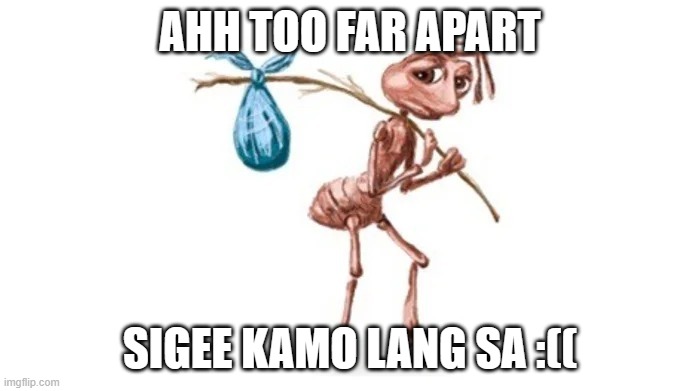 Ant packing bags. | AHH TOO FAR APART; SIGEE KAMO LANG SA :(( | image tagged in ant packing bags | made w/ Imgflip meme maker