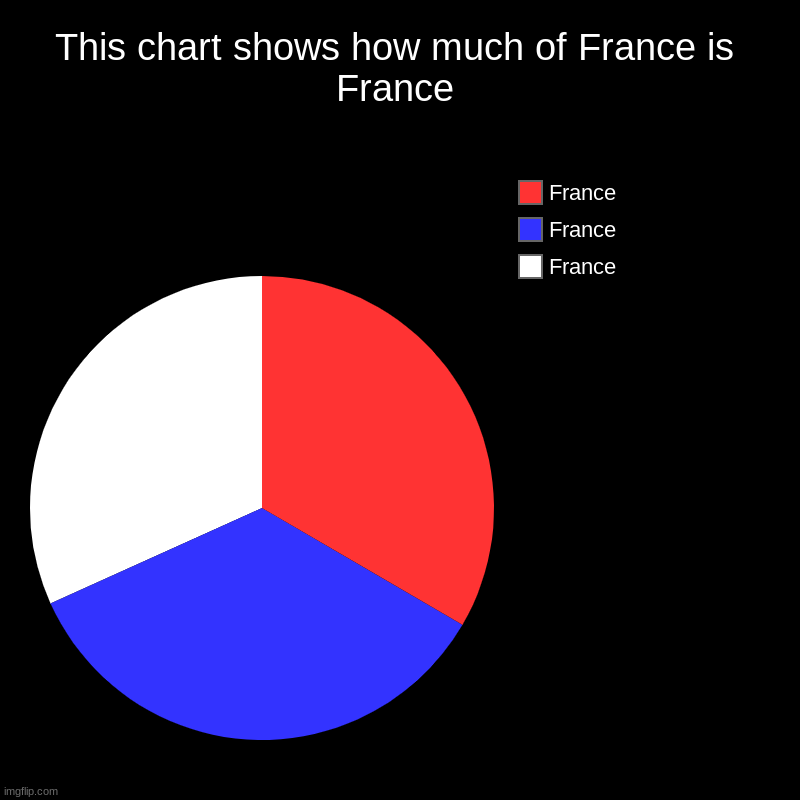 France | This chart shows how much of France is France | France, France, France | image tagged in charts,pie charts | made w/ Imgflip chart maker